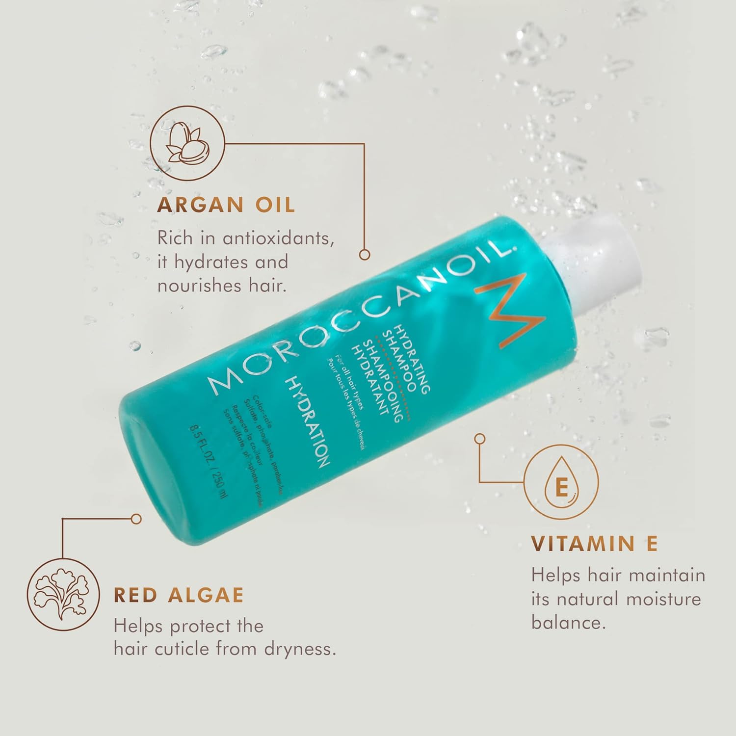 Moroccanoil Hydration Shampoo for All Type Hair - 250ml