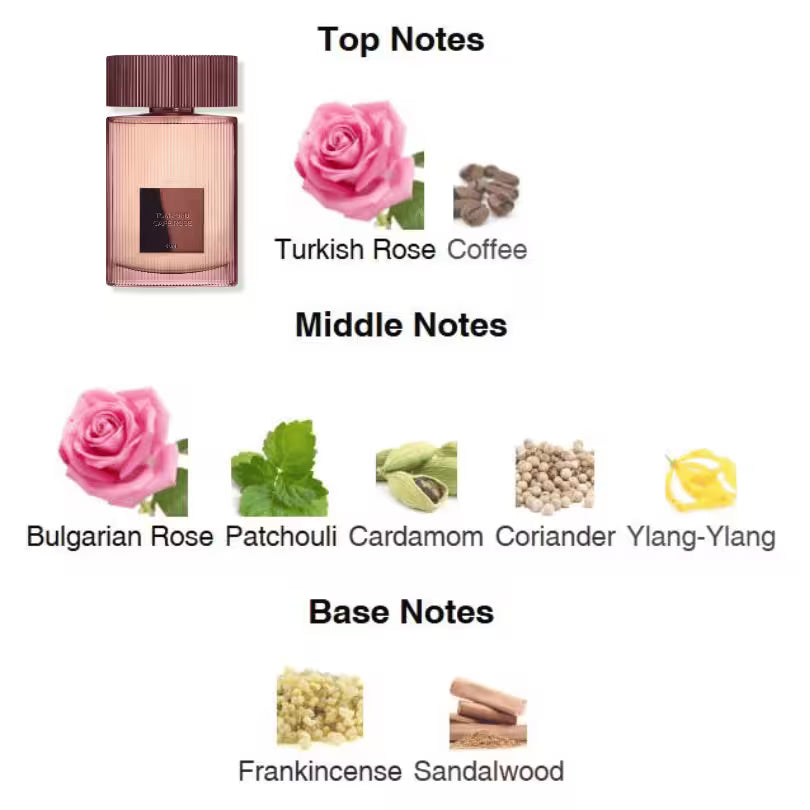 Tom Ford Café Rose 2023 fragrance notes featuring rose, coffee, patchouli, and sandalwood