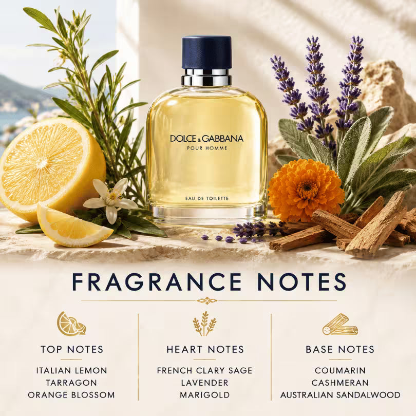 Dolce & Gabbana Pour Homme EDT fragrance notes with lemon, lavender and sandalwood