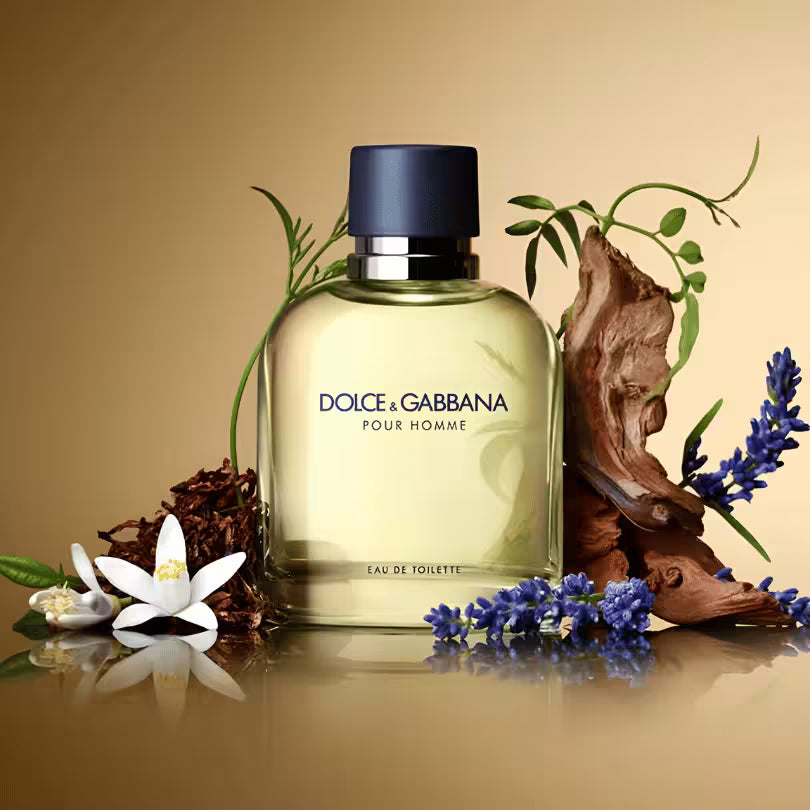 Dolce & Gabbana Pour Homme EDT with fragrance ingredients