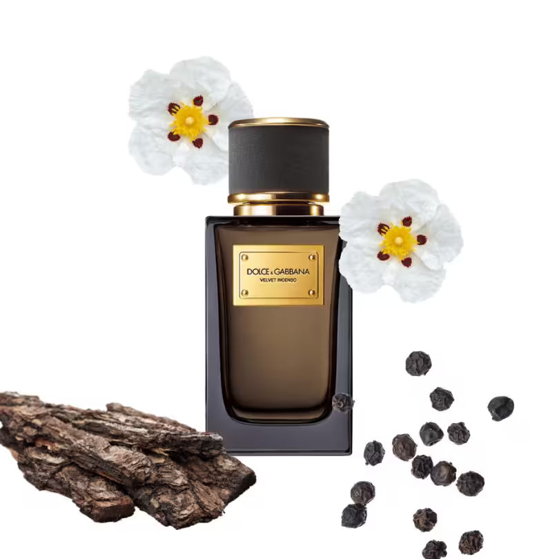 Dolce & Gabbana Velvet Incenso fragrance with incense, woods and vanilla