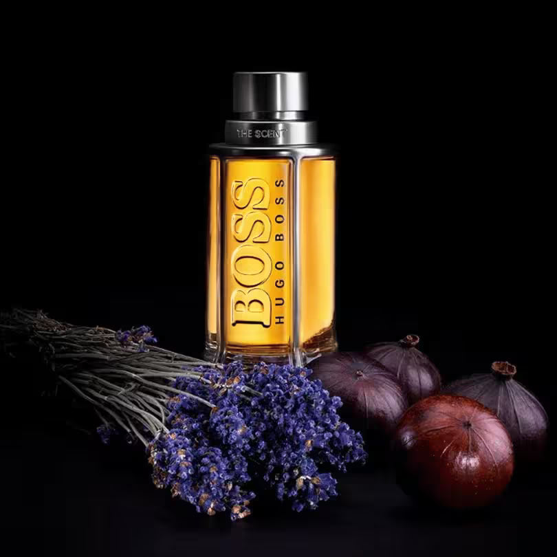 Hugo Boss The Scent EDT for Men fragrance notes display