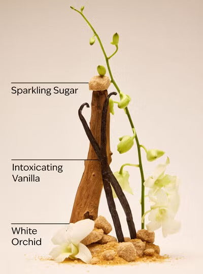 Bath & Body Works Warm Vanilla Sugar - Ultimate Hydration Body Cream