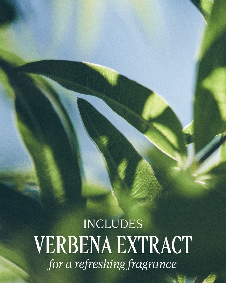 L'Occitane Shea Butter Extra Gentle Soap - Verbena For Dry To Very Dry Skin